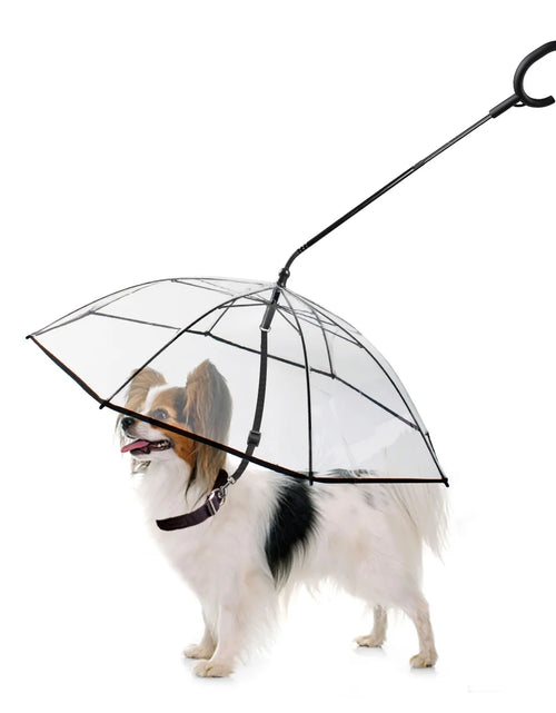 Load image into Gallery viewer, Dog Umbrella, Clear Pet Umbrella Flexible Handle Umbrella for Dog with Rope for Small Pets
