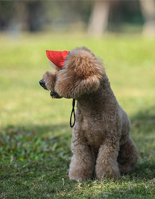 Load image into Gallery viewer, Adjustable Pet Dog Travel Cute Baseball Hat Sun Cap Visor Hat with Ear Holes Outdoor Sport Pet Supplies
