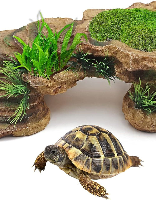 Load image into Gallery viewer, Turtle Basking Platform Reptile Terrarium Hideout Tortoise Resin Rock Hide Cave Habitat Ornament for Bearded Dragon Frogs Lizards Spiders Fish Amphibians Aquarium
