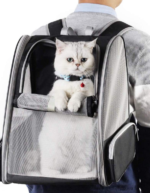 Load image into Gallery viewer, Pet Backpack Carrier for Small Cats Dogs | Ventilated Design, Safety Straps, Buckle Support, Collapsible | Designed for Travel, Hiking, Walking &amp; Outdoor Use
