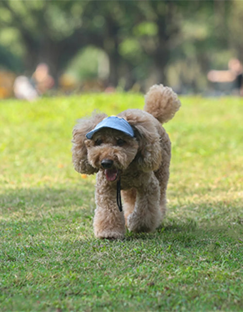 Load image into Gallery viewer, Adjustable Pet Dog Travel Cute Baseball Hat Sun Cap Visor Hat with Ear Holes Outdoor Sport Pet Supplies
