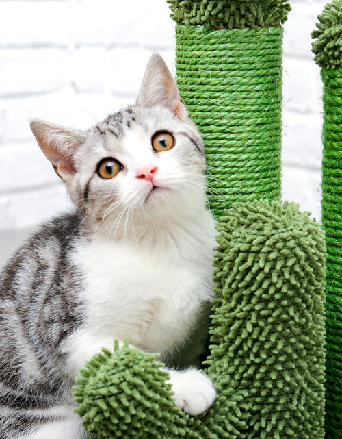 Load image into Gallery viewer, 23&quot; Cactus Cat Scratching Posts Medium Sisal Cat Scratcher,Green
