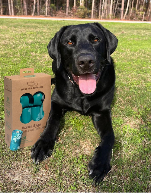 Load image into Gallery viewer, Dog Poop Bags for Waste Refuse Cleanup, Doggy Roll Replacements for Outdoor Puppy Walking and Travel, Leak Proof and Tear Resistant, Thick Plastic
