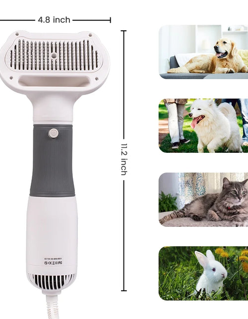 Load image into Gallery viewer, Dog Hair Dryer, 2 in 1 Dog Brush, Pet Grooming Dryer for Small Dog and Cat, Cat Hair Brush with Adjustable Temperature
